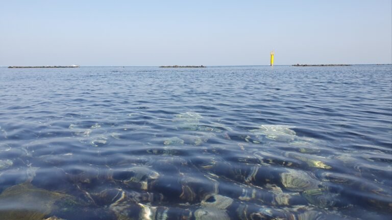 [에코in] “해녀 삼촌, 내 눈에 BTS로 보여” 해녀가 된 제주 어부의 딸