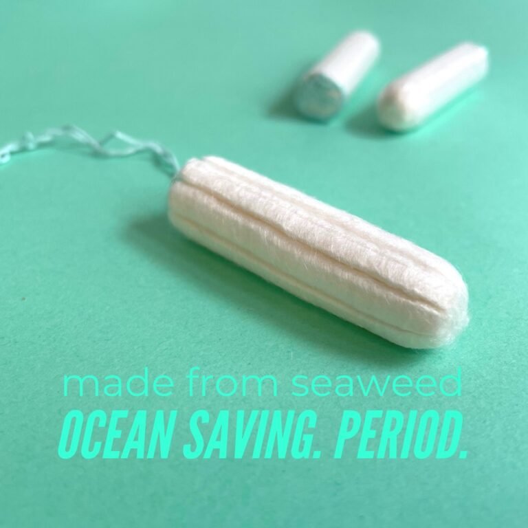 ‘미역으로 탐폰 기저귀 만든다” 독일 친환경 스타트업